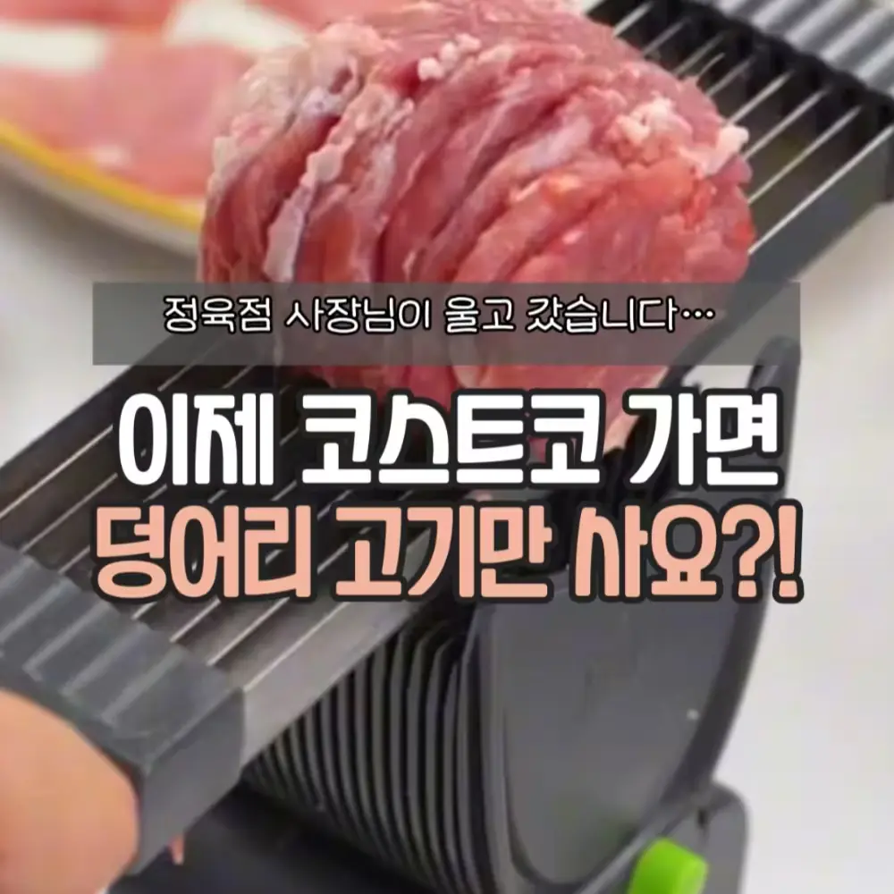 가정용 슬라이서