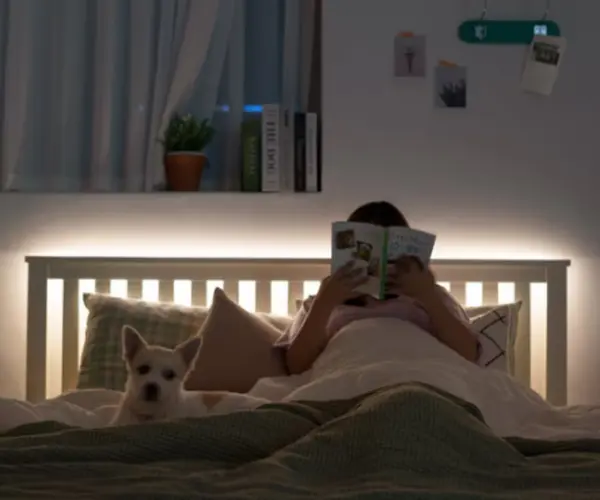 [032] 소파 뒤 선반(LED줄조명)