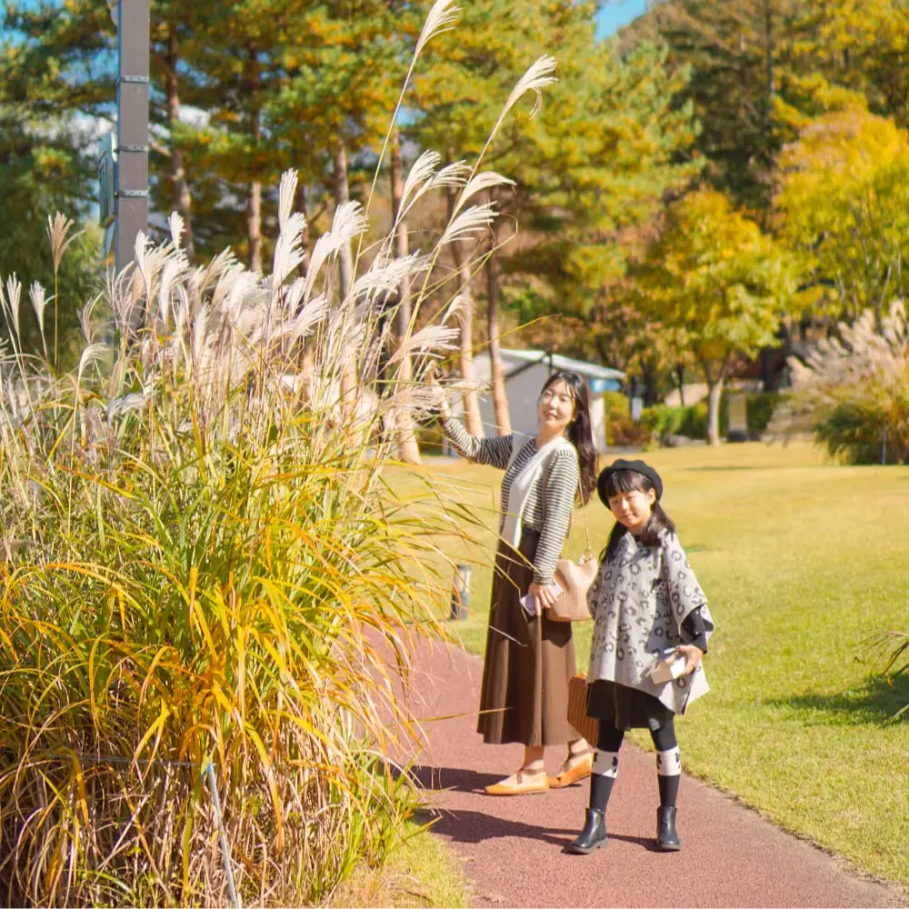 마이다스호텔 특가 종료