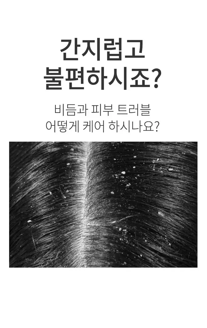 두피스케일링  임산부선물 비건 두피 샴푸 500mlx3