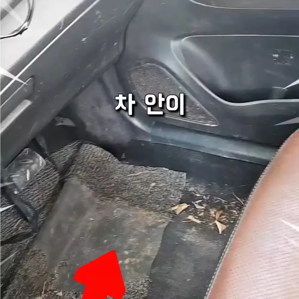 415번-세차 스프레이