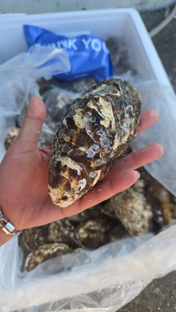 후기로 받은 사진입니다.