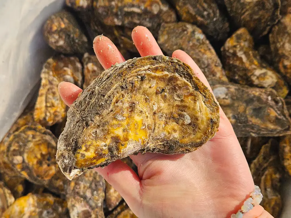 후기로 받은 사진입니다.