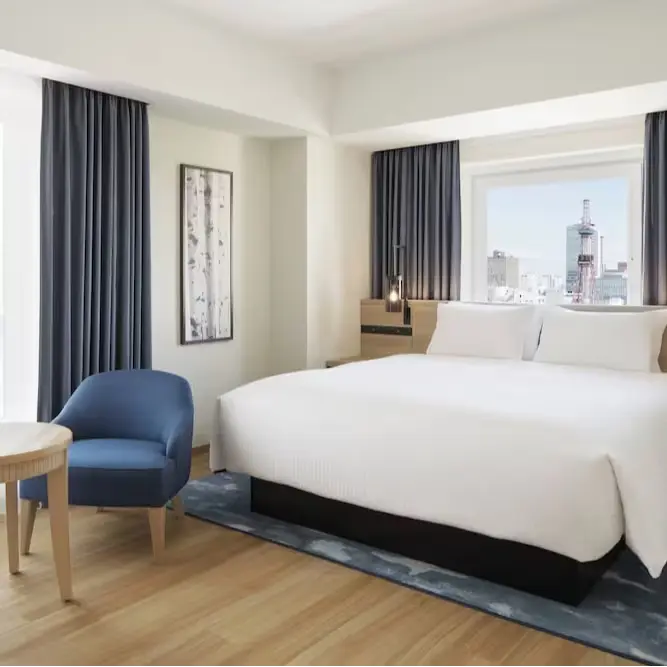 내 친구가 여행온다면 여기✅