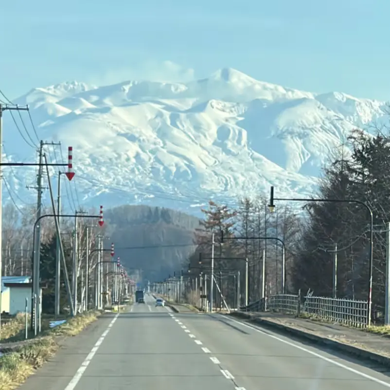 실시간 삿포로 항공권✈️