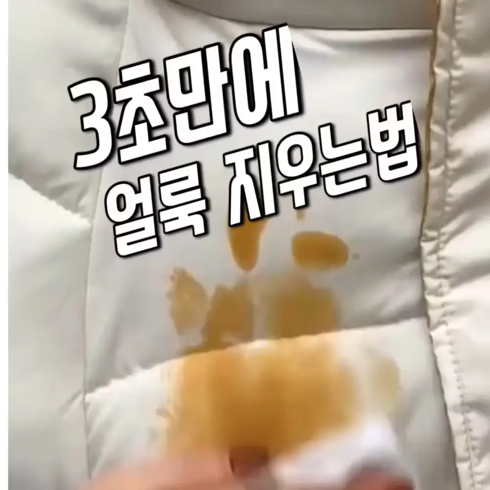 452번-패딩티슈(알리)