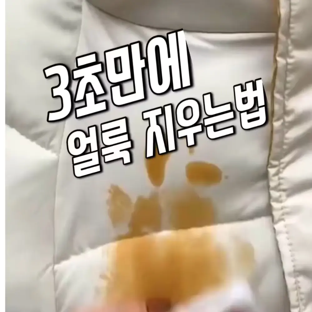 452번-패딩티슈(쿠팡)