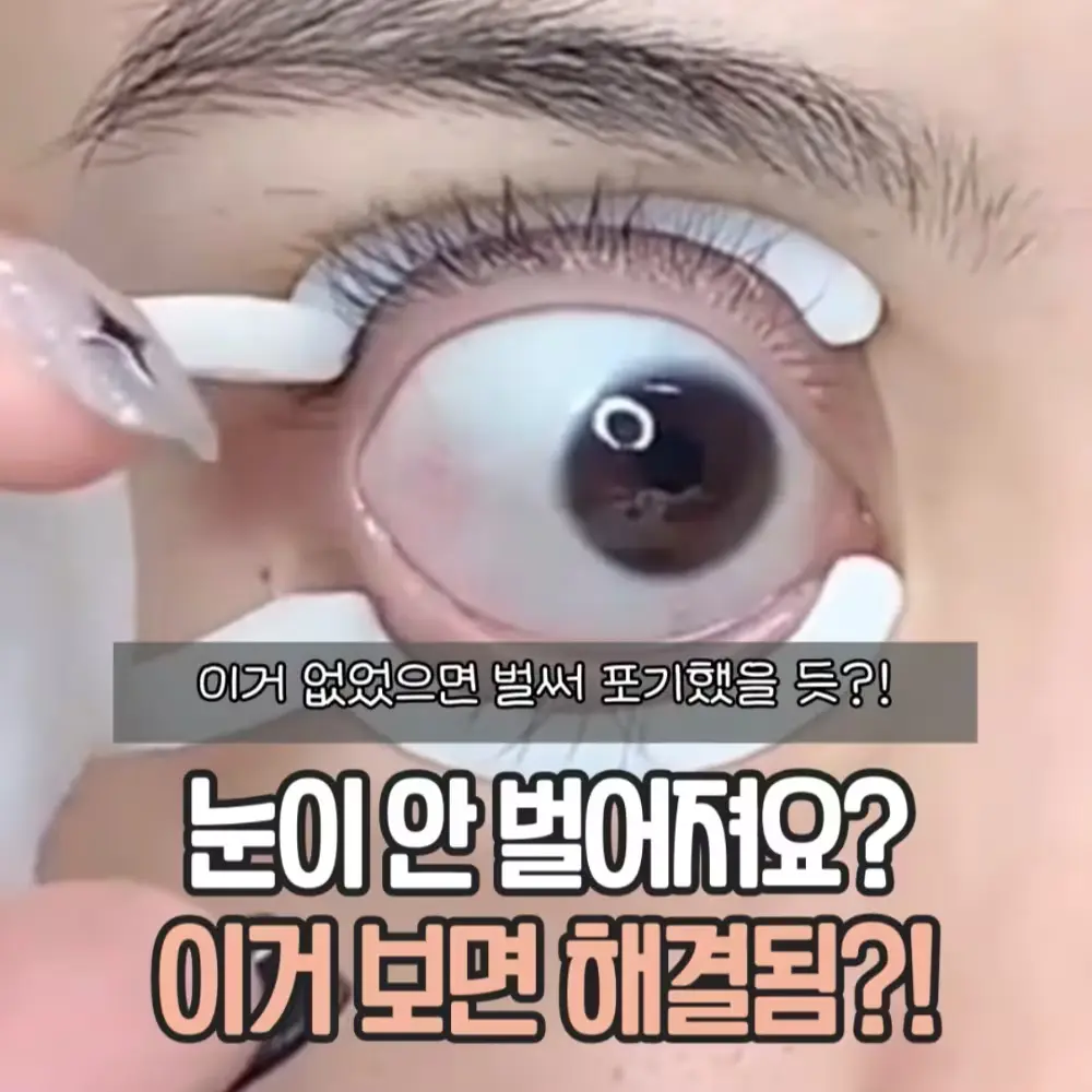 렌즈 넣고 빼주는 기계