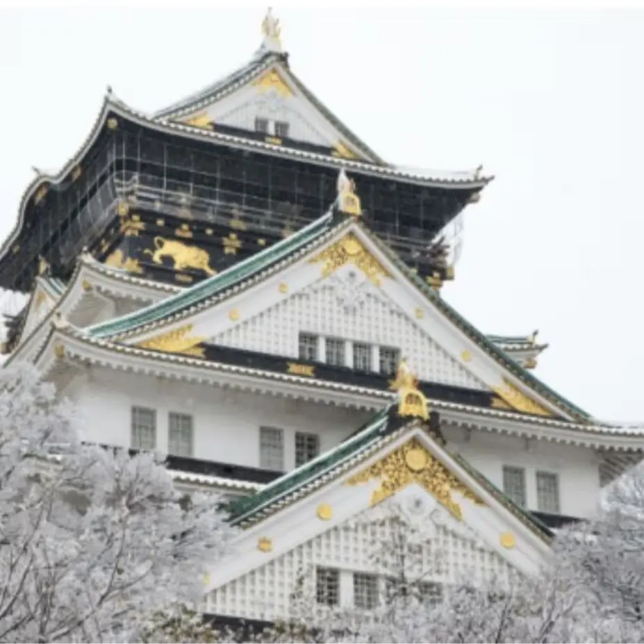 오사카+교토 추천 일정