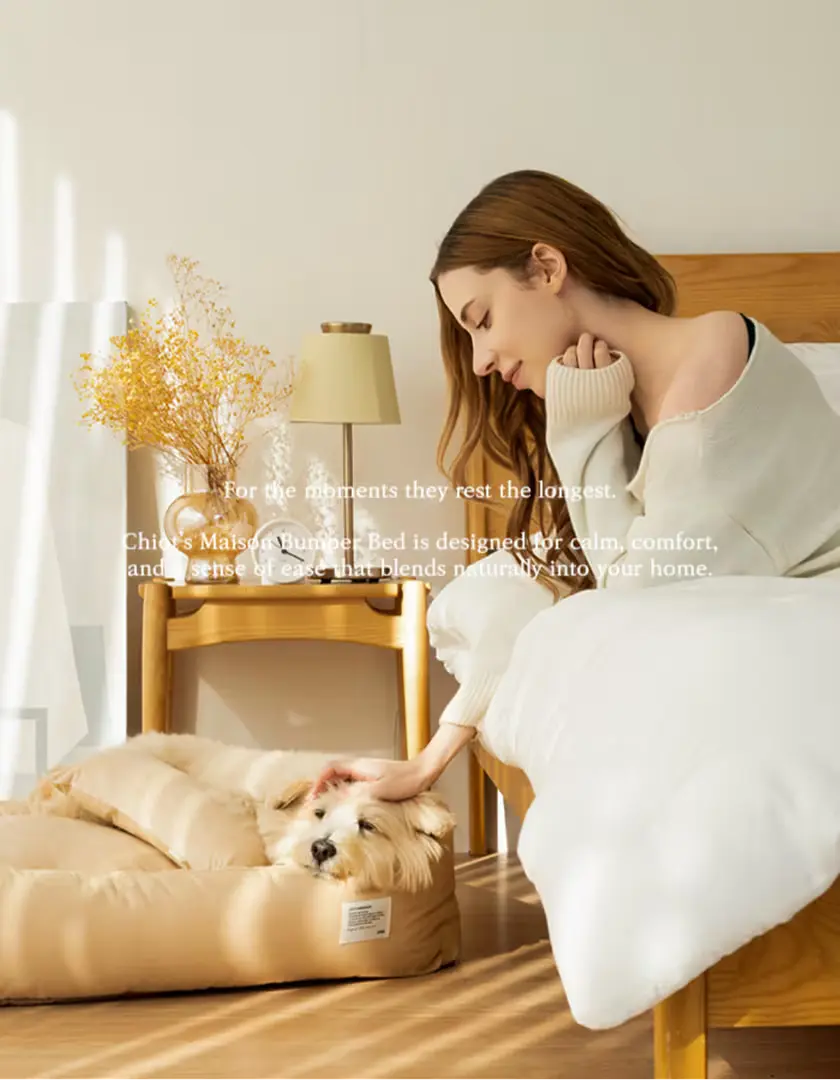 👉쉬오트 메종 컬렉션 바로가기!