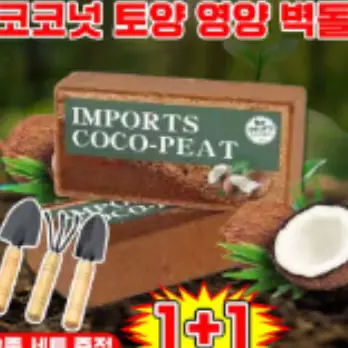 🟡384번 코코넛 영양토