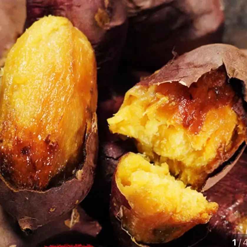 카스테라 고구마 CS