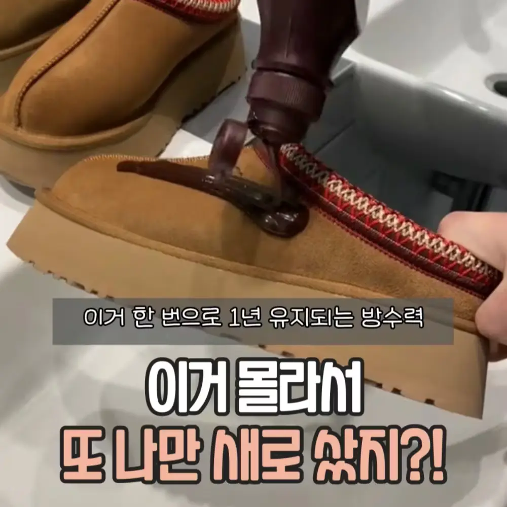 콜로닐 어그 관리 3종