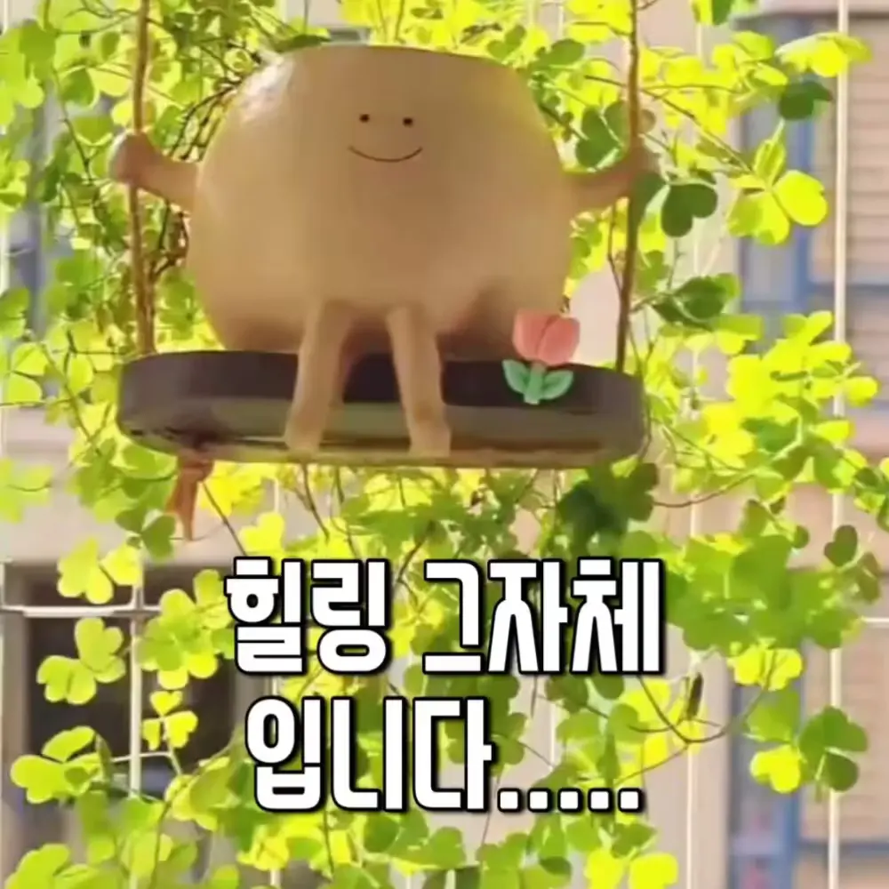462번-귀여운 화분(알리)