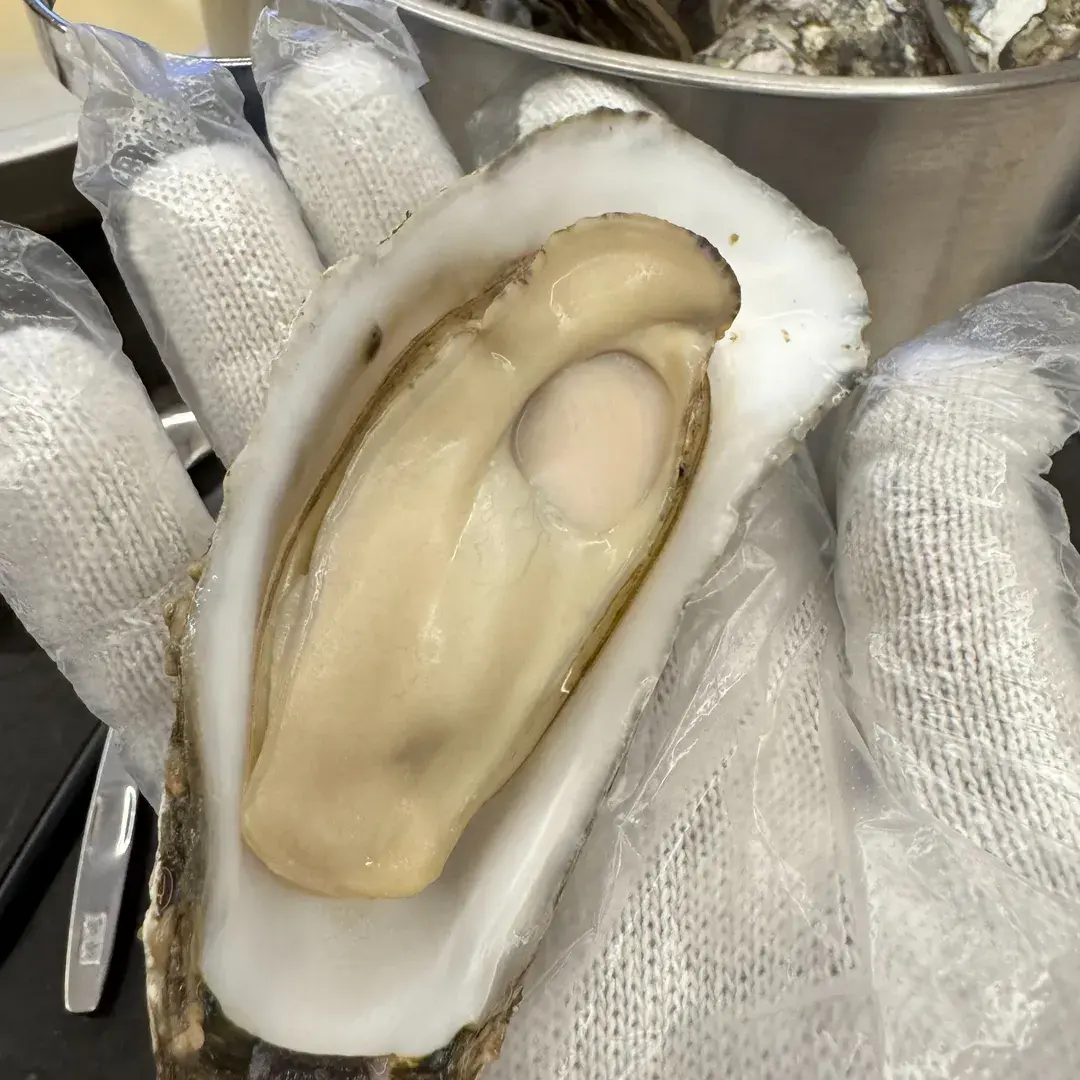 후기로 받은 사진입니다.