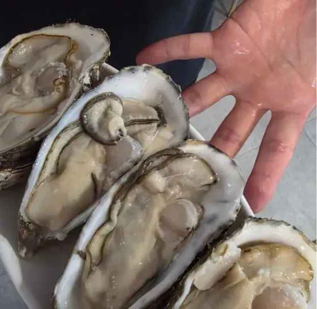 후기로 받은 사진입니다.