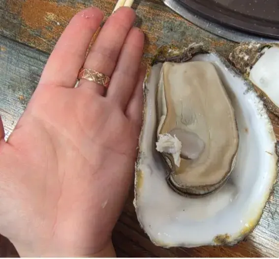 후기로 받은 사진입니다.