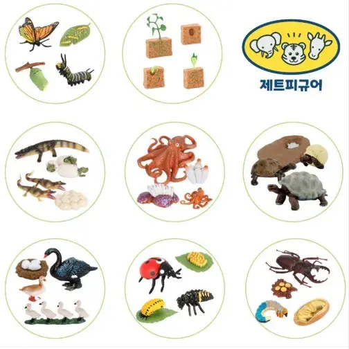 성장피규어/단품 🩷 ~ 12/29(월)