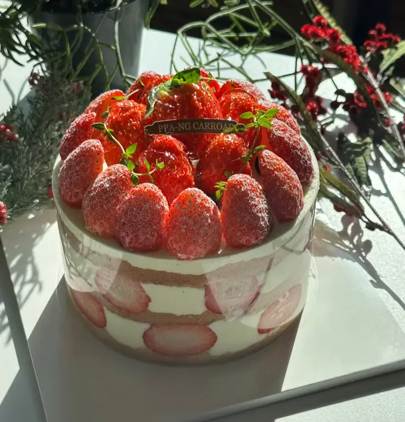 PPA-NG CARROAD Christmas Cake