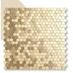 images/2025/2/11/2025-2-11-1739317273363.webp