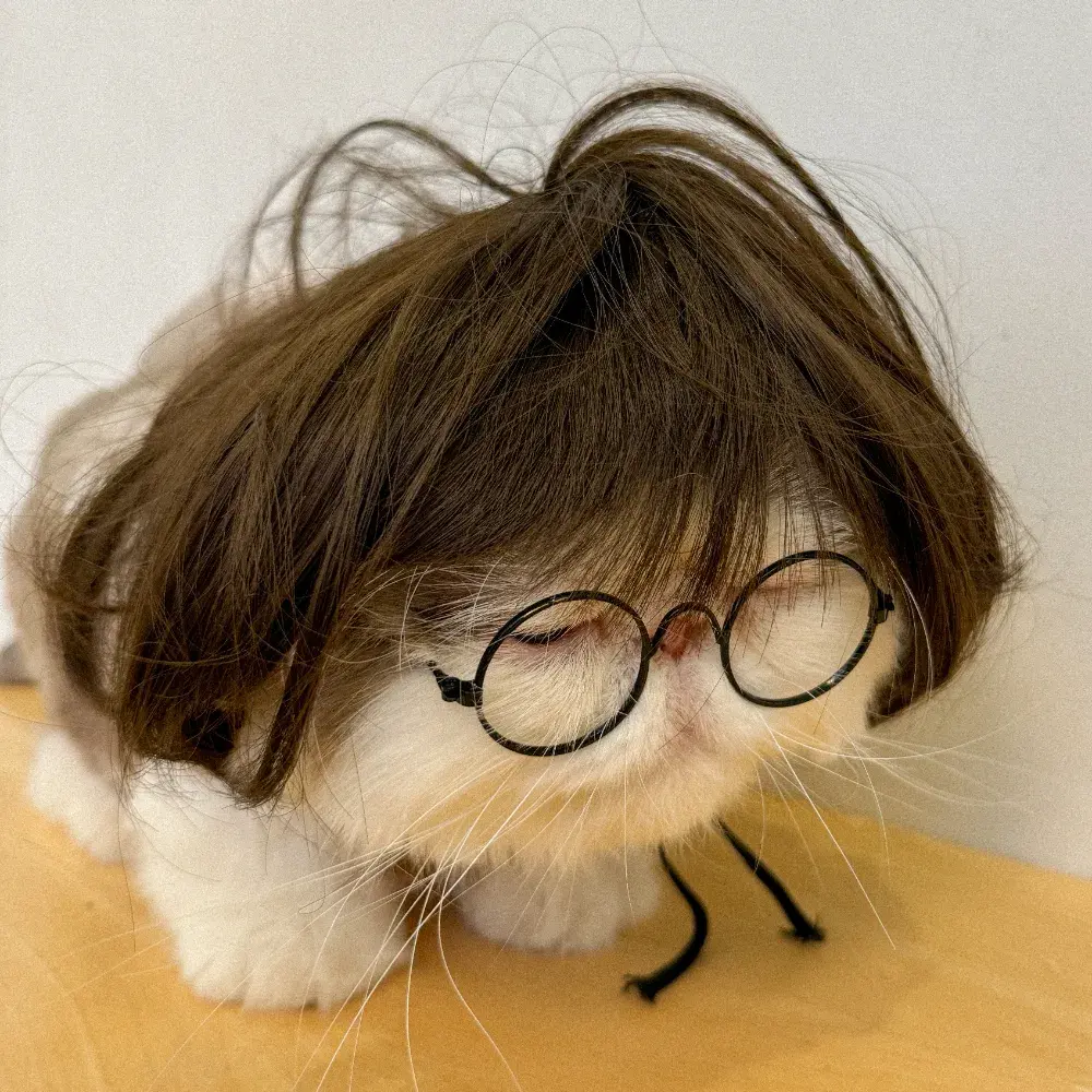 고영주택 방문 예약