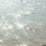 images/2025/2/14/2025-2-14-1739551548767.webp