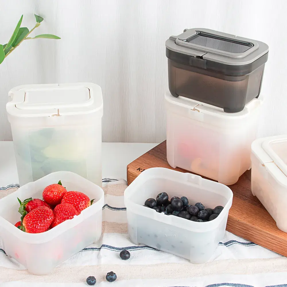 진공100% 파우더락 출시