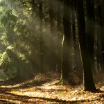 images/2025/2/26/2025-2-26-1740553501530.webp