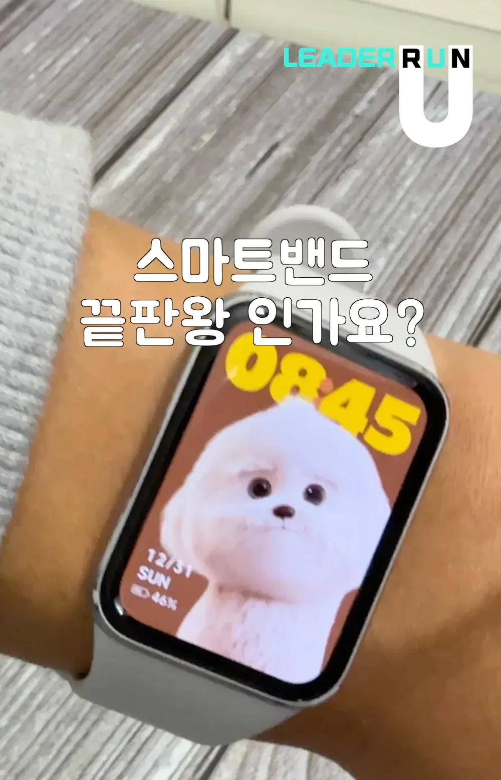 스마트밴드 끝판왕인가요?