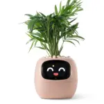 images/2025/3/11/2025-3-11-1741673038782.webp