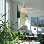 images/2025/3/12/2025-3-12-1741738238994.webp