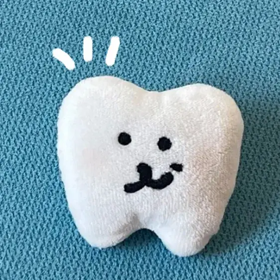 🦷이빨곰인형🦷