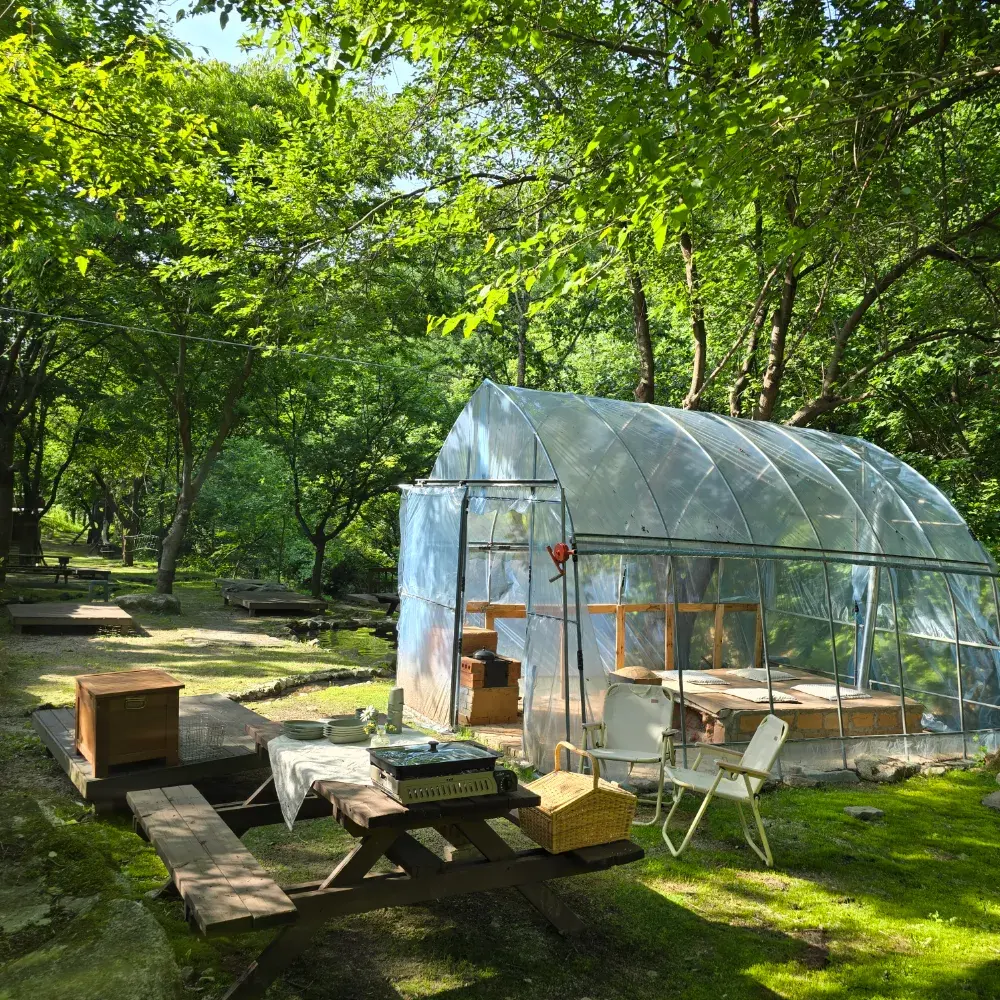 자연과하루 농장 피크닉 C=zone