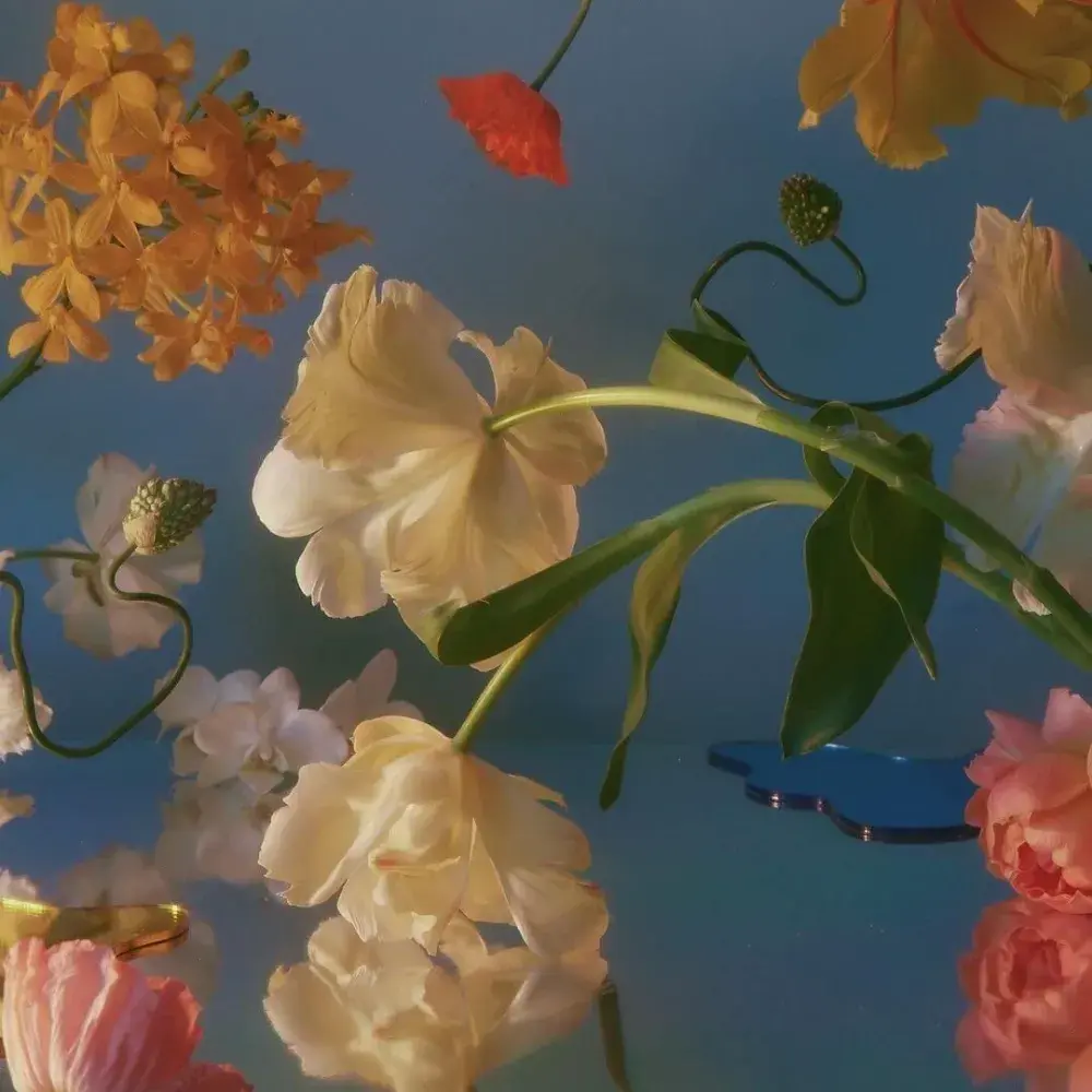 헤이주 홈페이지