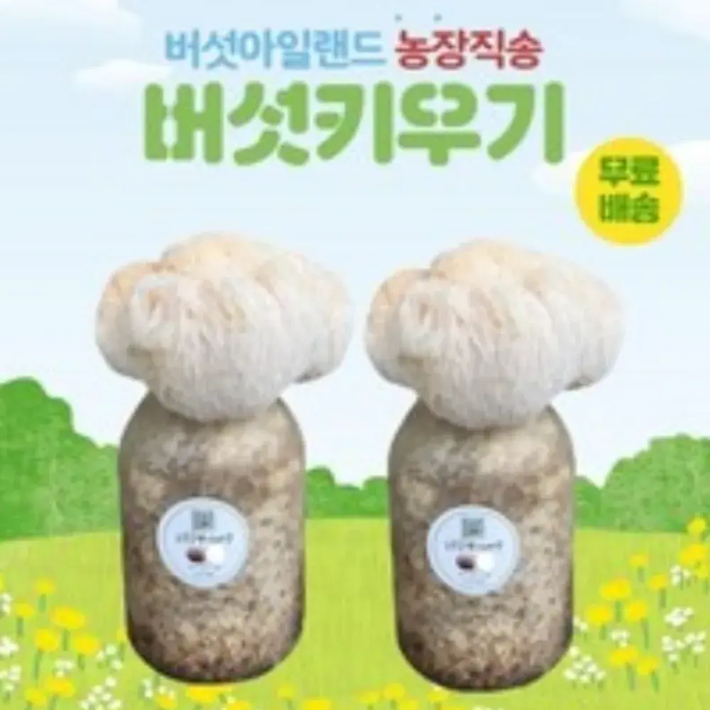 노루 궁뎅이 버섯 키우기