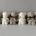 images/2025/3/23/2025-3-23-1742702742105.webp