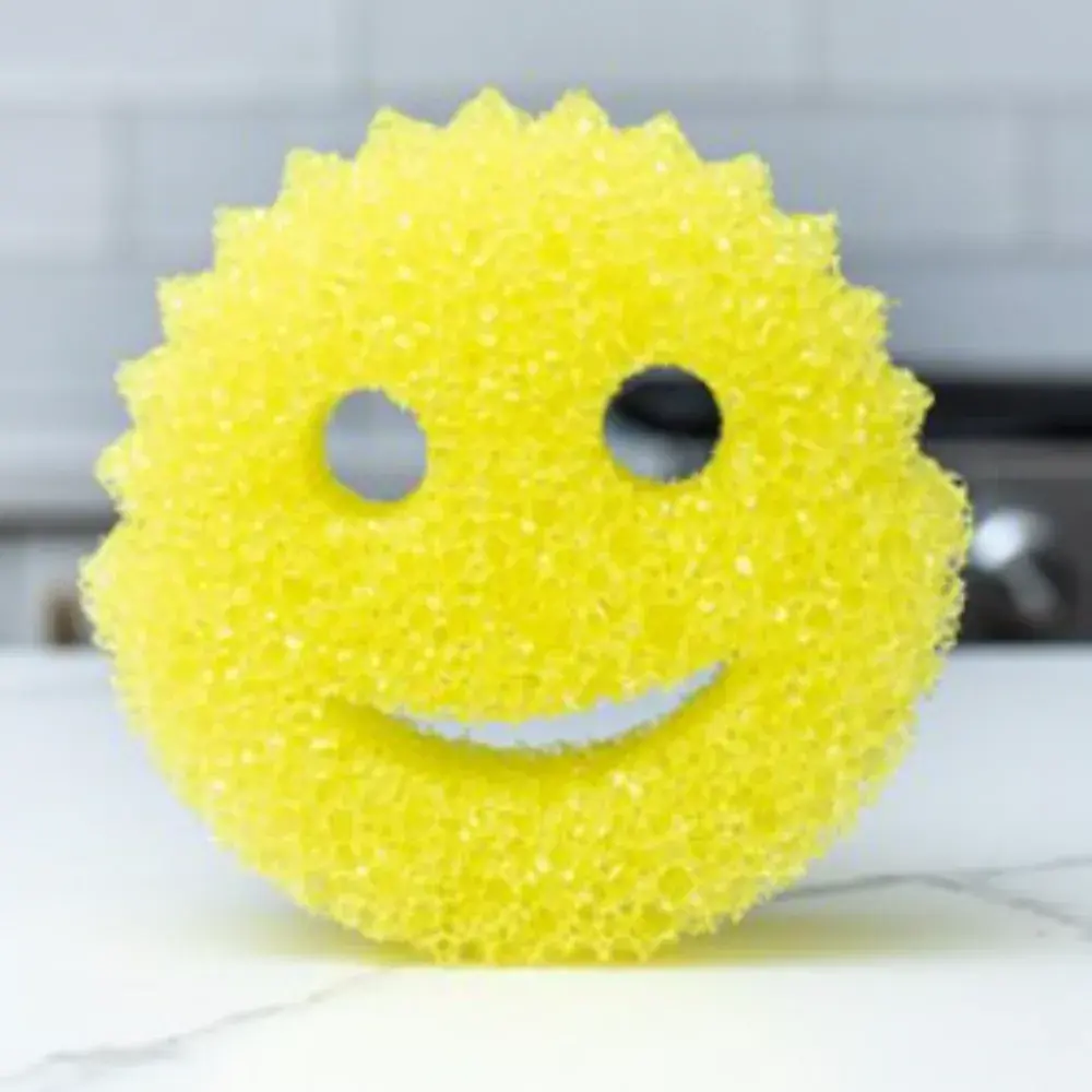 19. 스크럽대디 미국 대표 수세미