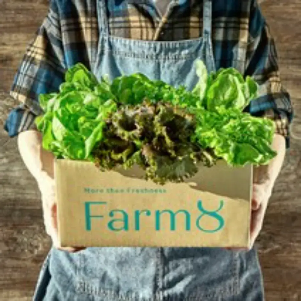 유러피안 쌈채소