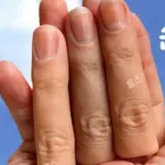 images/2025/3/30/2025-3-30-1743322195774.webp