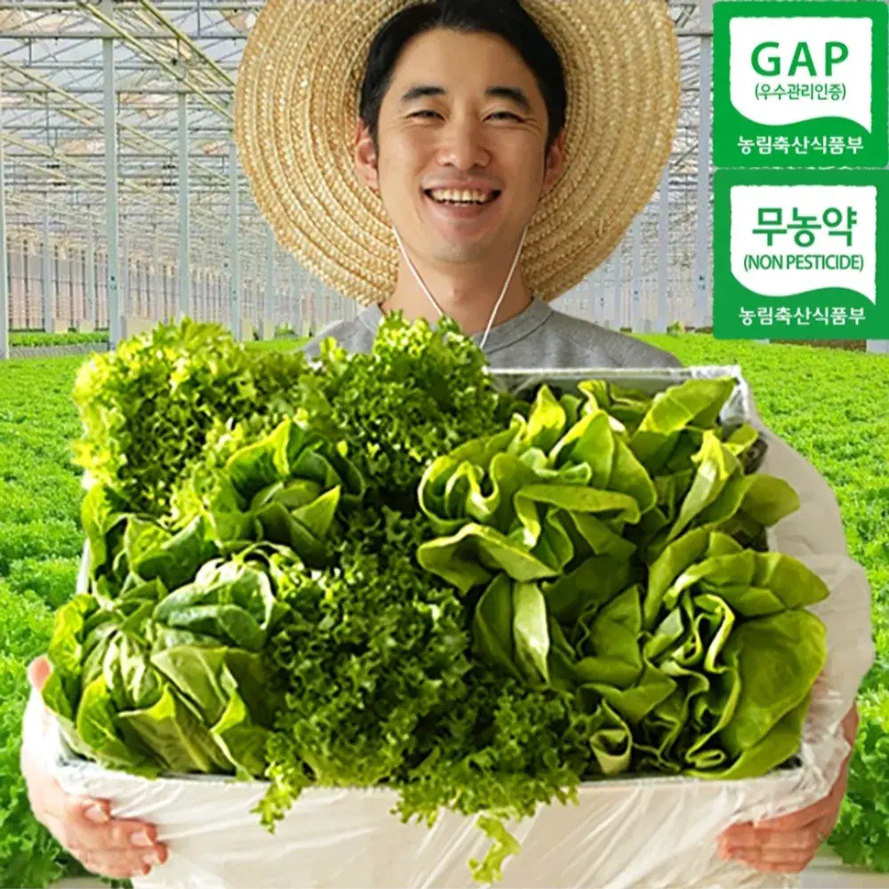 작목반장 샐러드채소