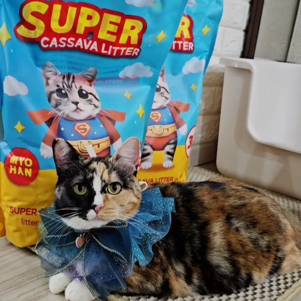 🔸️슈퍼카사바모래🔸️똑같은 카사바가아니다! 탈취.응고력.먼지 모두만족한 모래!