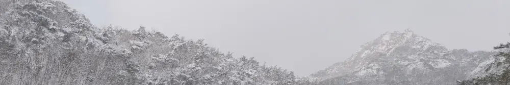 images/2025/3/5/2025-3-5-1741153181193.webp