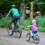 images/2025/3/8/2025-3-8-1741420982835.webp