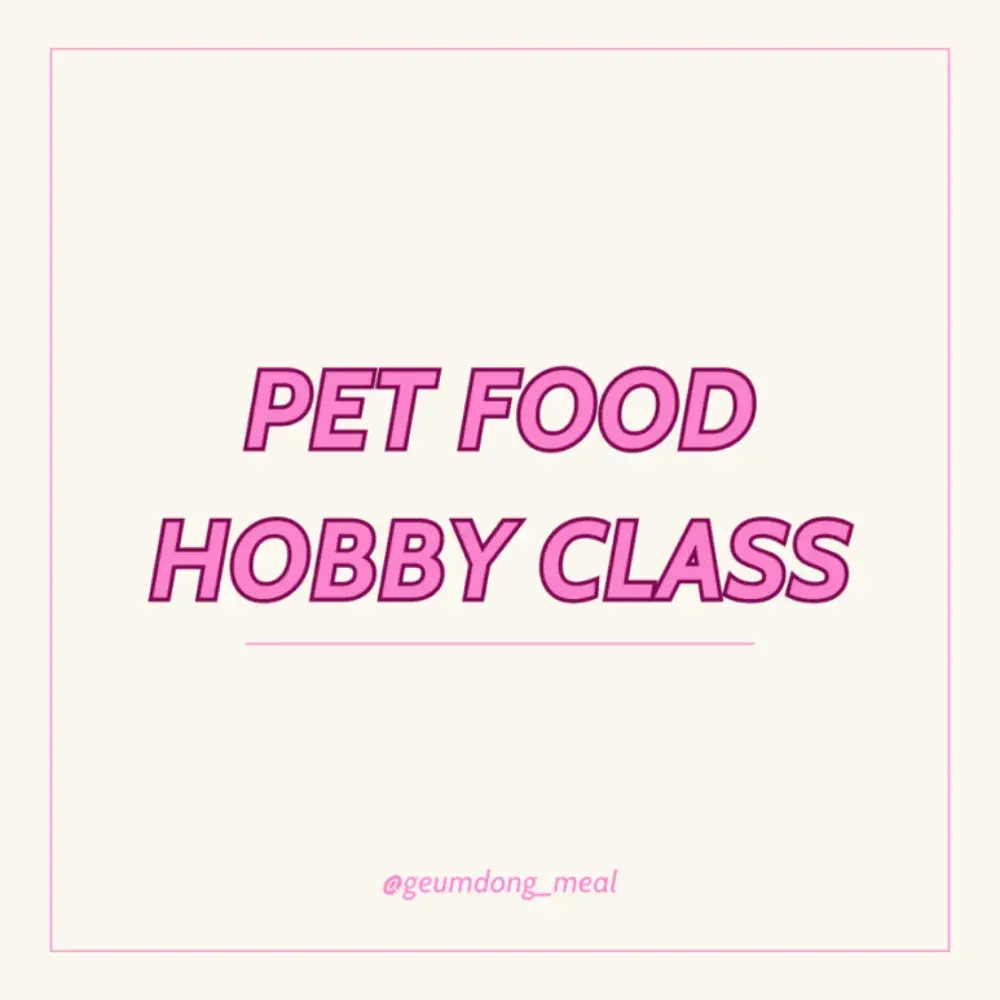 강아지 수제간식 취미반