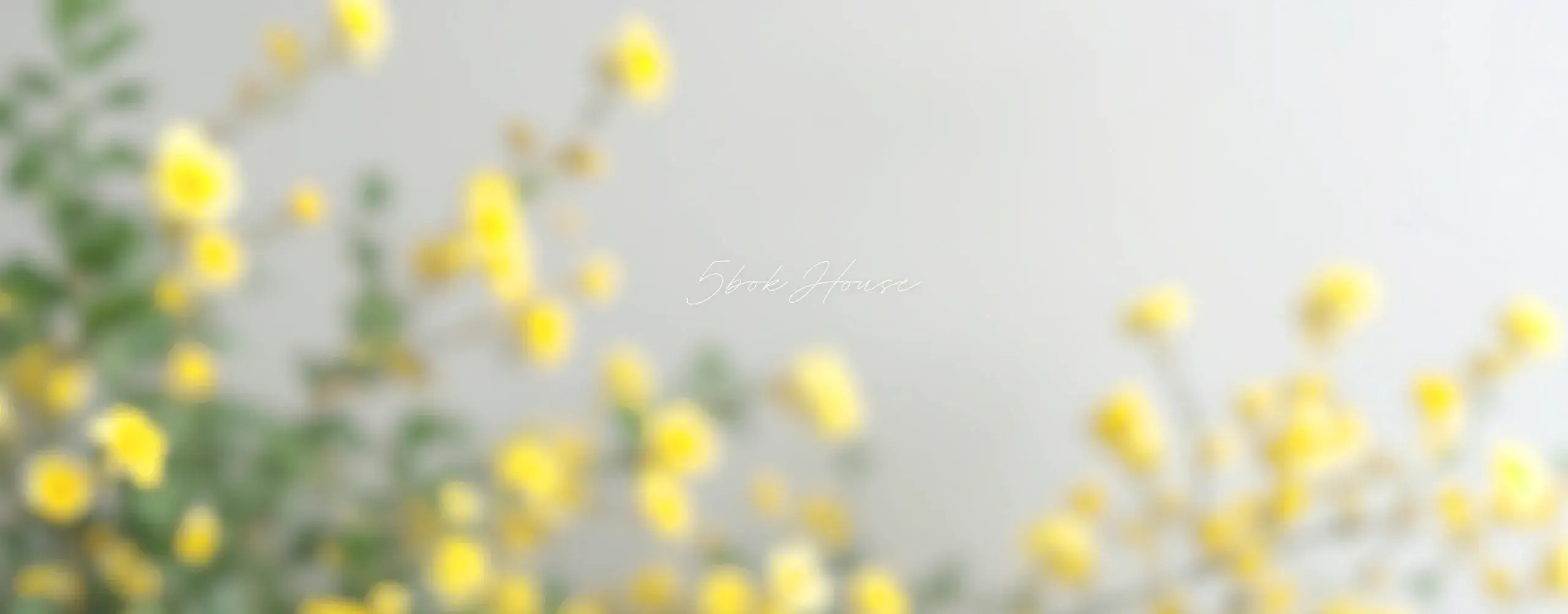 images/2025/4/14/2025-4-14-1744613156338.webp