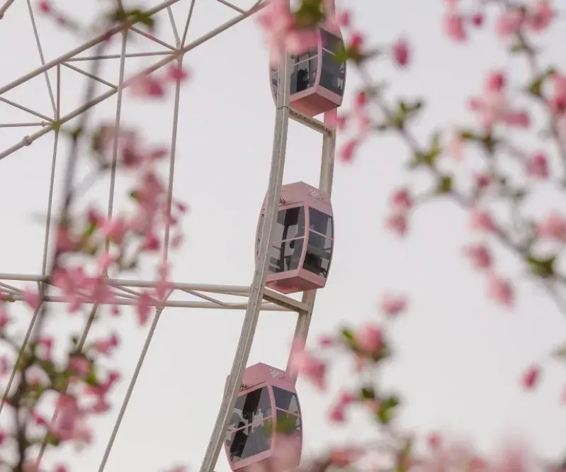 images/2025/4/15/2025-4-15-1744705185319.webp