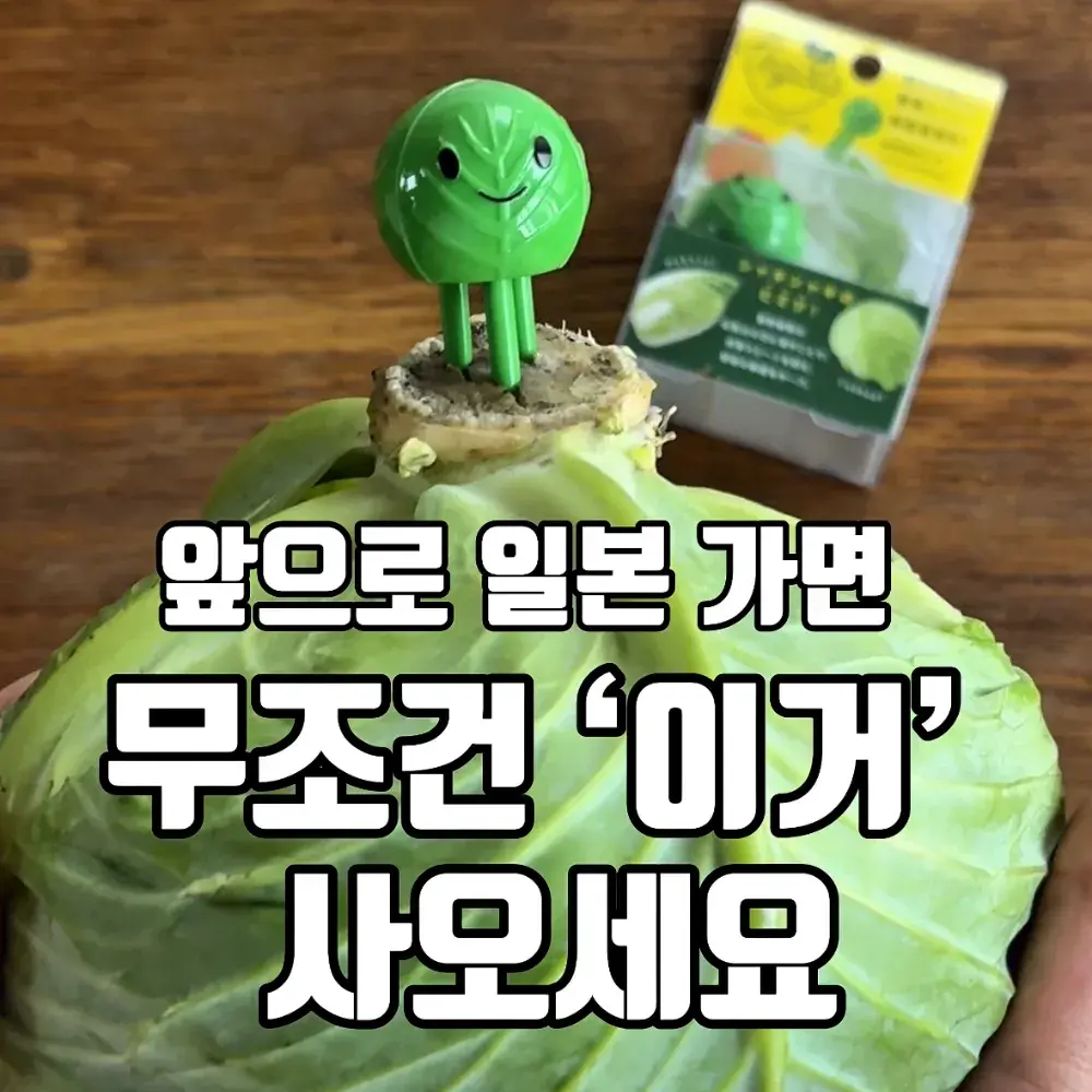 양배추 저속 노화템 '베지샤키짱'