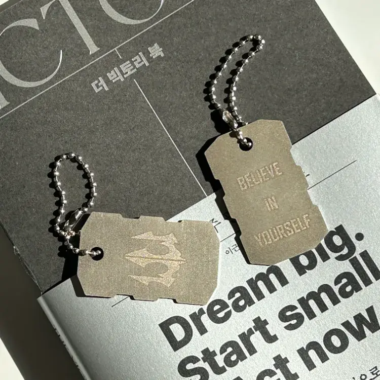 『더 빅토리 북』