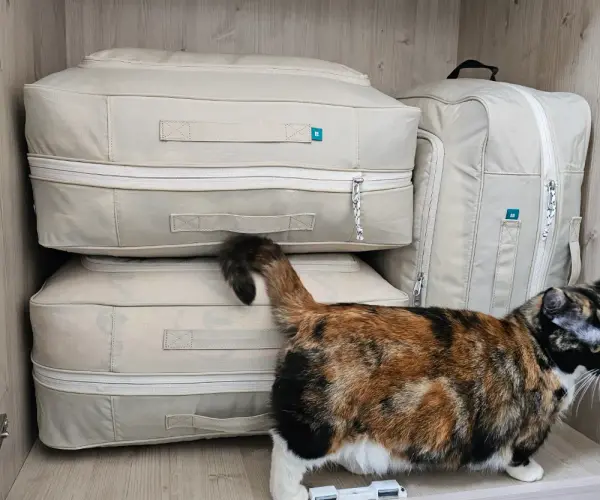 브랜든 이불압축파우치