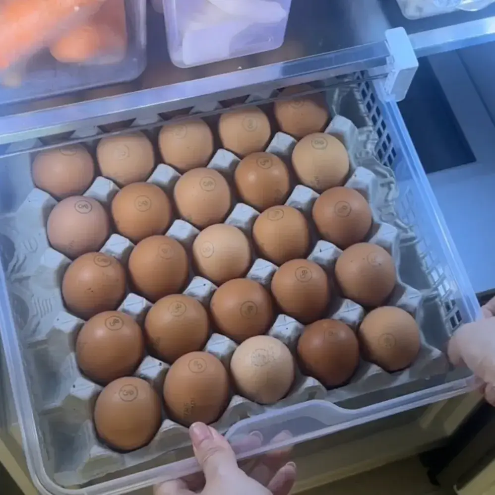 공중부양 계란케이스